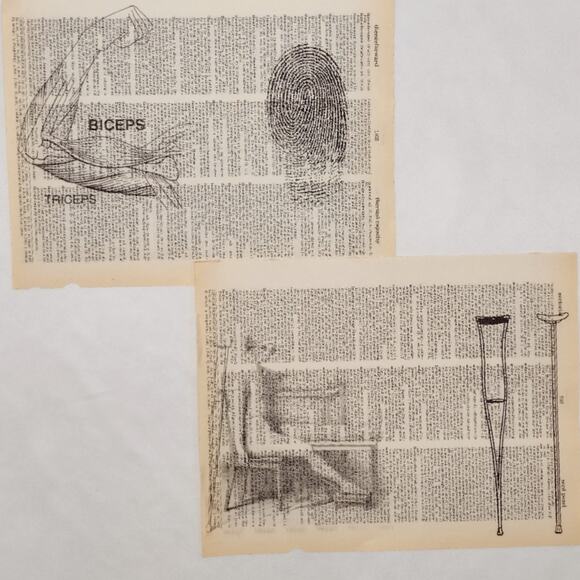 Anatomy Dictionary Prints 3, Anatomy Prints, Book Page Prints - Picture 6 of 6